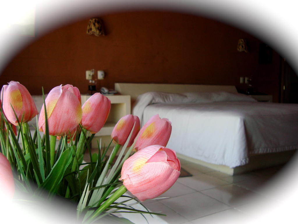 Vida En El Lago Hotel Tepecoacuilco de Trujano Phòng bức ảnh